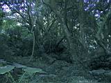 162-6296_IMG.JPG