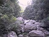 163-6302_IMG.JPG