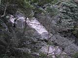 163-6305_IMG.JPG