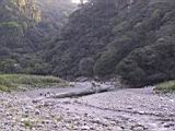 163-6313_IMG.JPG