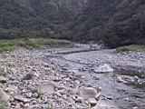 163-6315_IMG.JPG