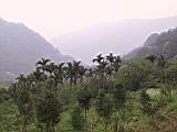 168-6877_IMG.JPG