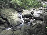 168-6890_IMG.JPG