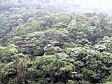 169-6906_IMG.JPG