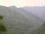 171-7158B_IMG.JPG