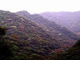 171-7158_IMG.JPG