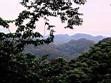 171-7160_IMG.JPG