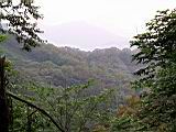 171-7161_IMG.JPG