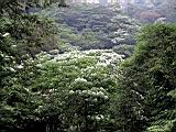 171-7169_IMG.JPG