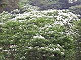 171-7170B_IMG.JPG