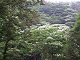 171-7170_IMG.JPG