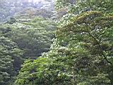 171-7171_IMG.JPG