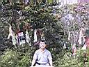 163-6329_IMG.JPG