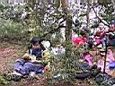 163-6334_IMG.JPG
