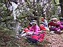 163-6335_IMG.JPG