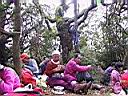 163-6336_IMG.JPG