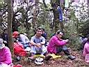 163-6337_IMG.JPG