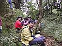 163-6339_IMG.JPG