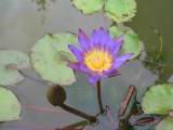 100-0028s_IMG.JPG