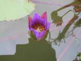 100-0029_IMG.JPG