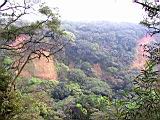 164-6406_IMG.JPG
