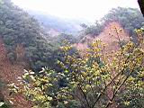 164-6410_IMG.JPG