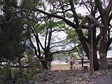 164-6443_IMG.JPG