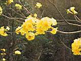 164-6458_IMG.JPG