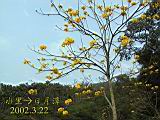 164-6459_IMG.JPG