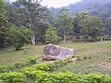 164-6465_IMG.JPG
