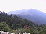 164-6490_IMG.JPG