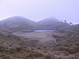 165-6513_IMG.JPG