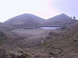 165-6515_IMG.JPG