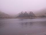 165-6523_IMG.JPG