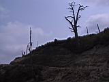 165-6550_IMG.JPG