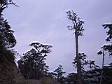 165-6559_IMG.JPG