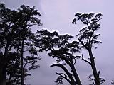 165-6560_IMG.JPG