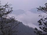 165-6567_IMG.JPG
