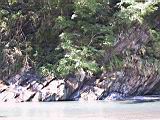 166-6637_IMG.JPG