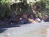 166-6639_IMG.JPG