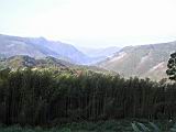 167-6769_IMG.JPG