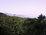 167-6771_IMG.JPG