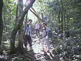 167-6779_IMG.JPG
