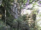 167-6787_IMG.JPG