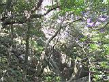 167-6788_IMG.JPG