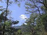 169-6933_IMG.JPG