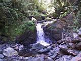 169-6934_IMG.JPG