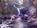 169-6936_IMG.JPG