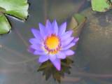 174-7446_IMG.JPG