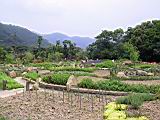 174-7461_IMG.JPG